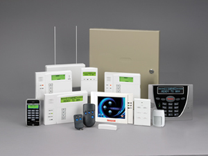 Vista products